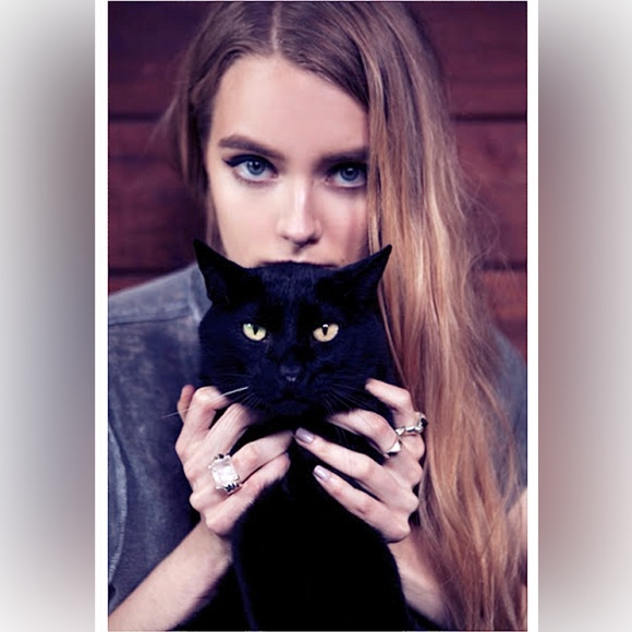 MOVING SALE❗️💎 Custom made Meadowlark cat ears ring - Picture 3 of 7